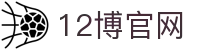 12博-倡导负责任博彩活动，保障用户的安全与娱乐体验